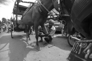 kuist-series-19
