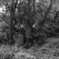 kuist-series-0