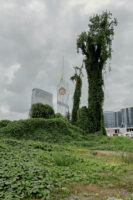 kuist-series-0